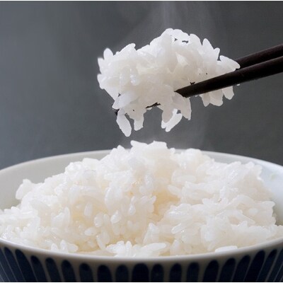 千葉県産「粒すけ」5kg