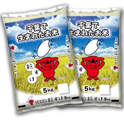千葉県産「粒すけ」5kg×2