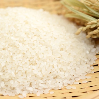 千葉県産「粒すけ」5kg×2