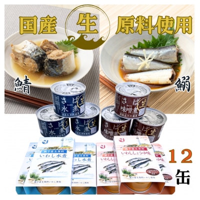生原料使用さばといわしの贅沢缶詰12缶セット