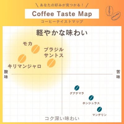 自家焙煎本格コーヒー☆軽い味わい2種 テトラパック手軽に飲み比べセット