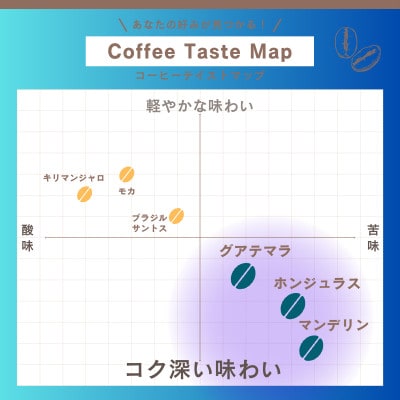 自家焙煎本格コーヒー★コク深い味わい2種 テトラパック 手軽に飲み比べセット