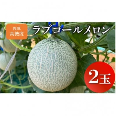【先行予約】肉厚・高糖度 ラブコールメロン 2玉