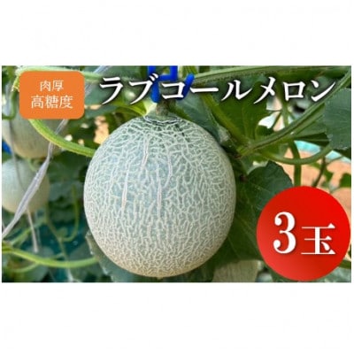 【先行予約】肉厚・高糖度 ラブコールメロン 3玉