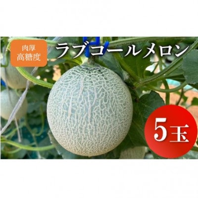 【先行予約】肉厚・高糖度 ラブコールメロン 5玉