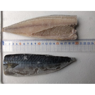 【さとふる限定】【訳あり】無塩冷凍さばフィーレ小サイズ 計4kg 千葉県銚子市産