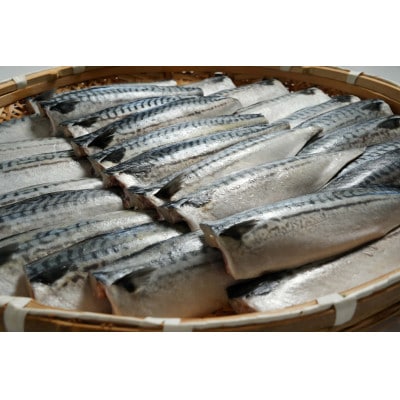 適塩さば 昆布エキス入り 約5kg