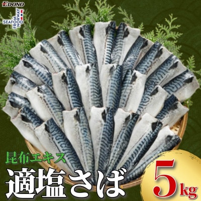 適塩さば 昆布エキス入り 約5kg