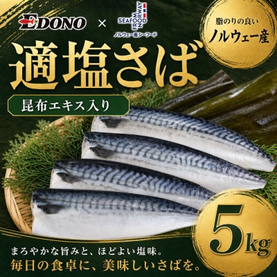 適塩さば 昆布エキス入り 約5kg