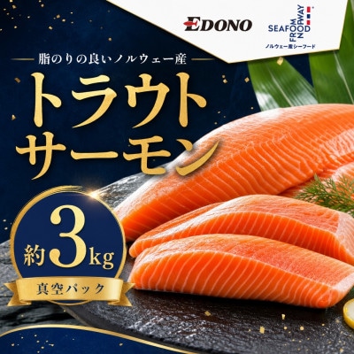 トラウトサーモン 約3kg 真空パック入り