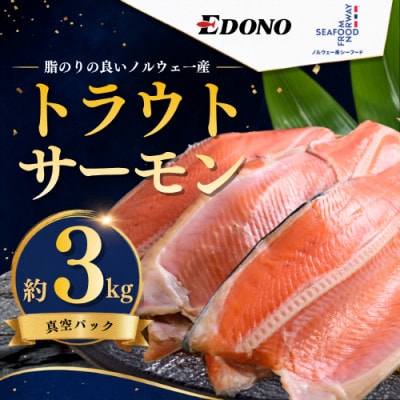 トラウトサーモン 約3kg 真空パック入り