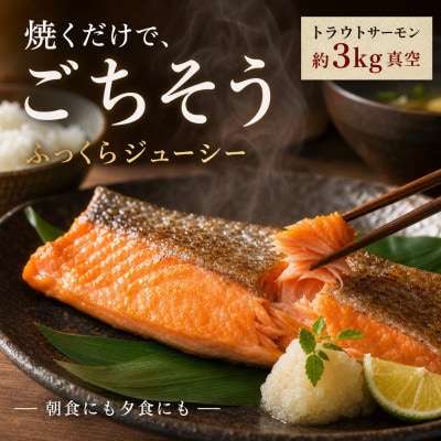 トラウトサーモン 約3kg 真空パック入り