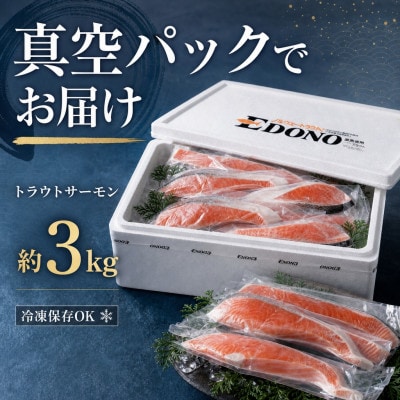 トラウトサーモン 約3kg 真空パック入り