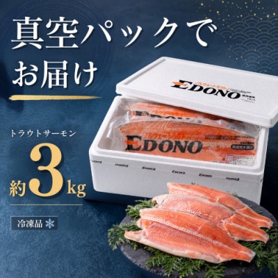 トラウトサーモン 約3kg 真空パック入り