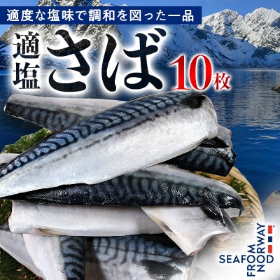 適塩さば 10枚