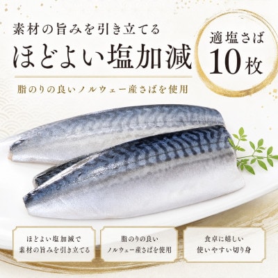 適塩さば 10枚