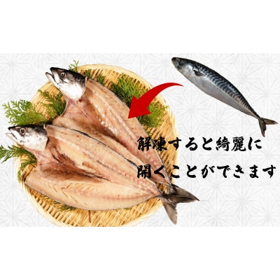 一汐さば さぬき塩を使用　4尾