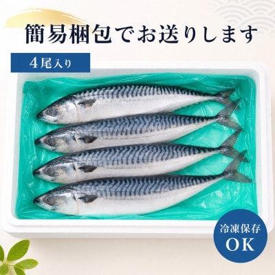 一汐さば 　4尾
