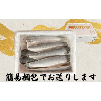 適塩さば 純米酒仕込み 10枚