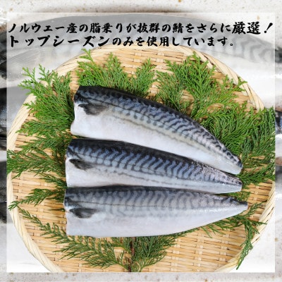 適塩さば 純米酒仕込み 10枚