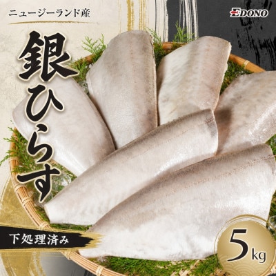 銀ひらす 下処理済み 5kg