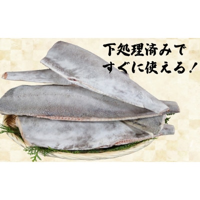 銀ひらす 下処理済み 5kg