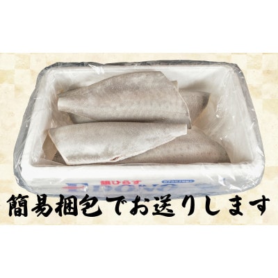 銀ひらす 下処理済み 5kg