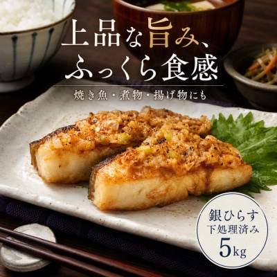 銀ひらす 下処理済み 5kg