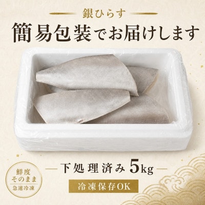 銀ひらす 下処理済み 5kg