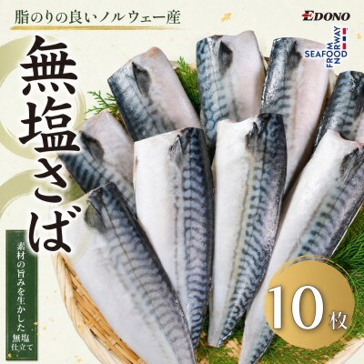 無塩さば 10枚