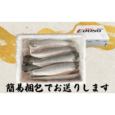 無塩さば 10枚