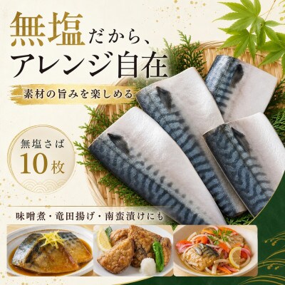 無塩さば 10枚