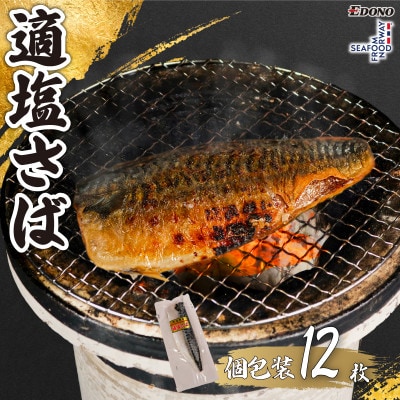 適塩さば(真空)　12枚入