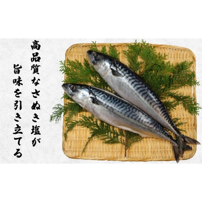 一汐さば　8kg