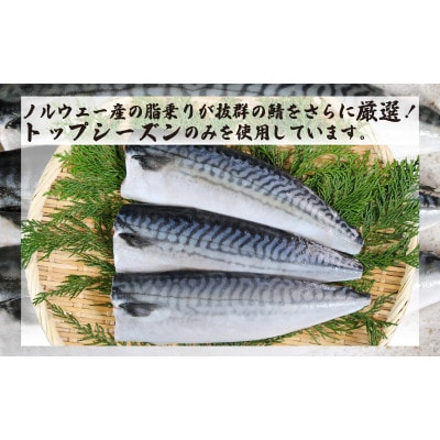 一汐さば　8kg