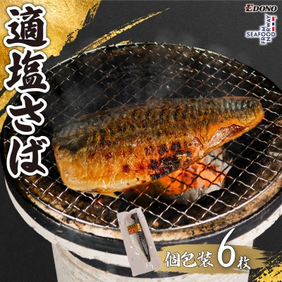 適塩さば(真空)　6枚入
