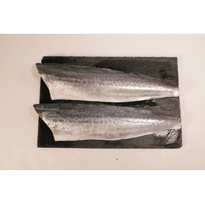汐さわら・昆布エキス仕込　5kg