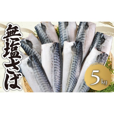 無塩さば　約5kg