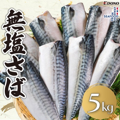 無塩さば　約5kg