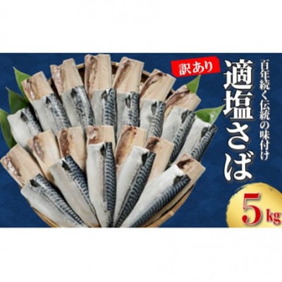 訳あり　適塩さば　約5kg