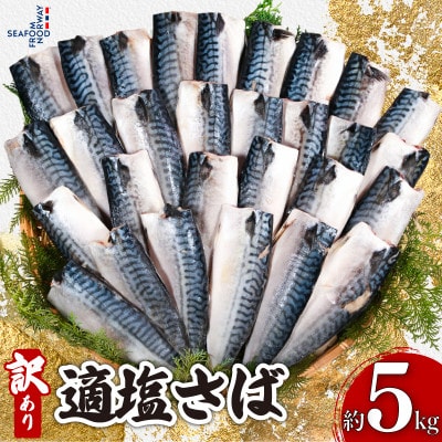 訳あり　適塩さば　約5kg