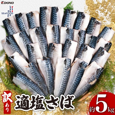 訳あり　適塩さば　約5kg