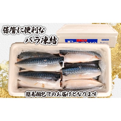 訳あり　適塩さば　約5kg