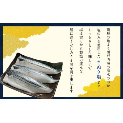 訳あり　適塩さば　約5kg