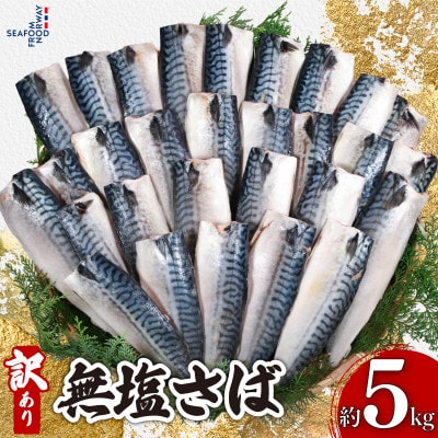 訳あり　無塩さば　約5kg