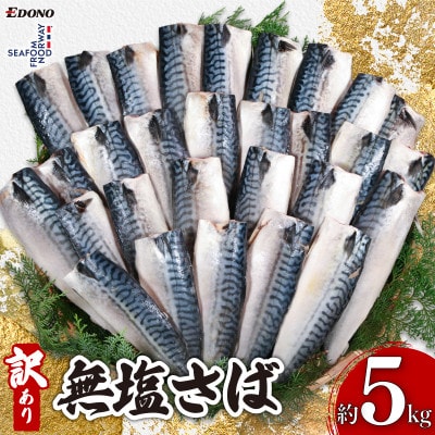 訳あり　無塩さば　約5kg