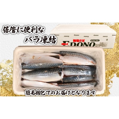 訳あり　無塩さば　約5kg