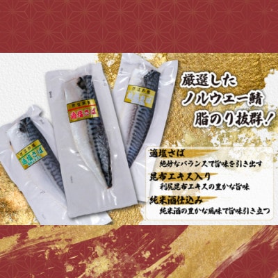 真空さばお試しセット　計12枚(適塩・昆布・純米酒　各4枚セット)