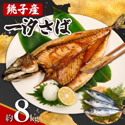 銚子産　一汐さば　8kg