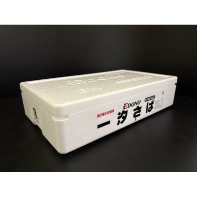 銚子産　一汐さば　8kg